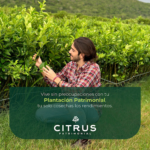 CITRUS PATRIMONIAL