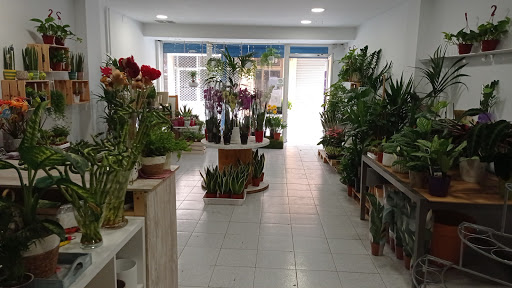 LEKSA Floristeria Gallery - Spain