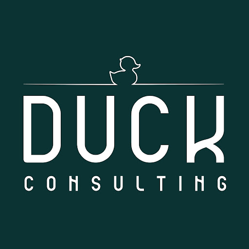 Duck Consulting Logo