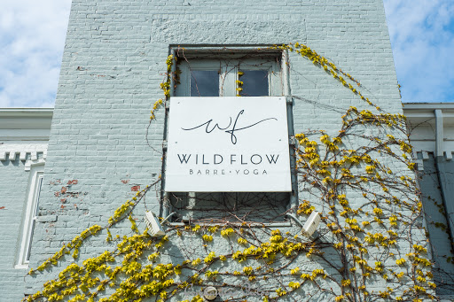 Wild Flow Gallery - United States