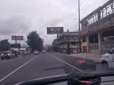 Photos of Shell Roosevelt