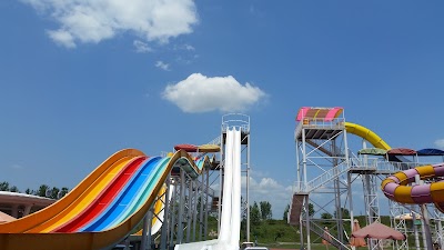 Amusement Park