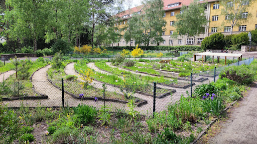 Circle-bench - Visual