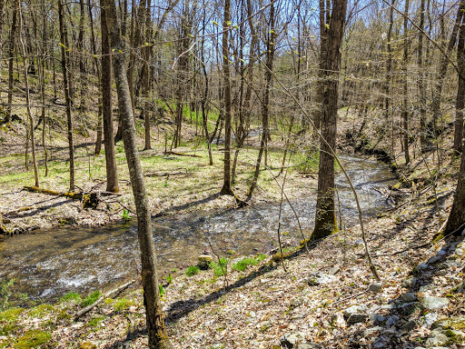 Stissing Mountain Multiple Use Area