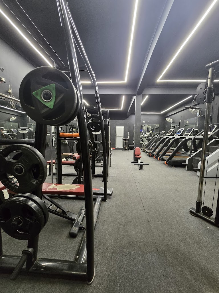 Bodyline Fitness Gym