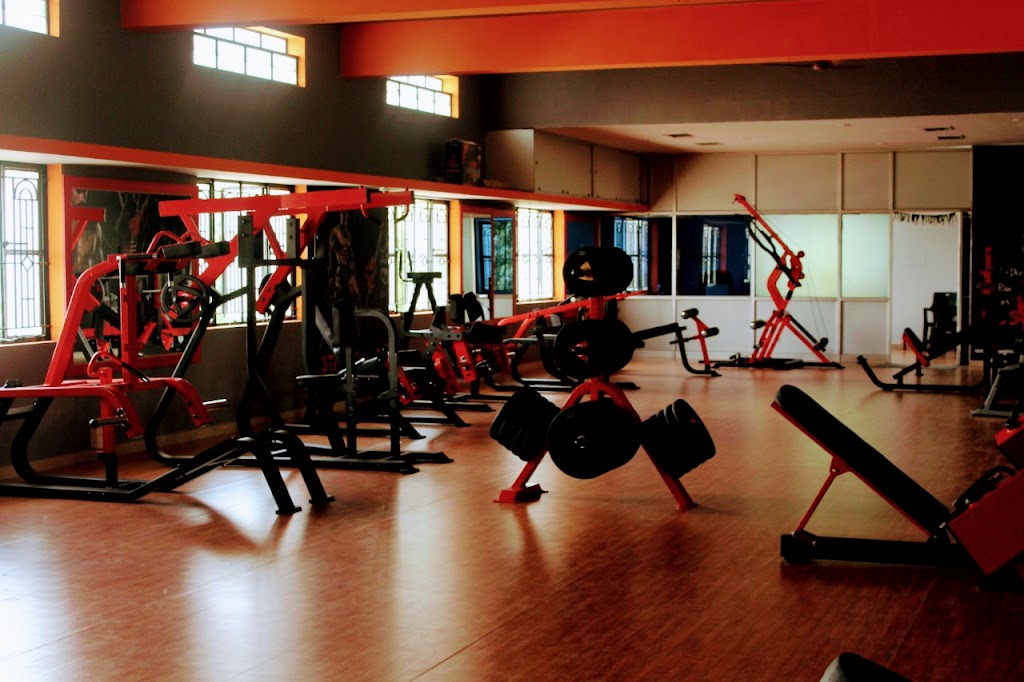 Body Building Xtreme