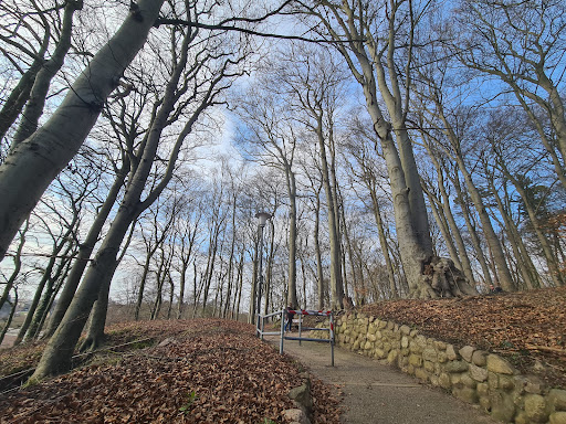 Riesebusch West - Thumbnail