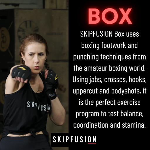 skipfusion - Visual