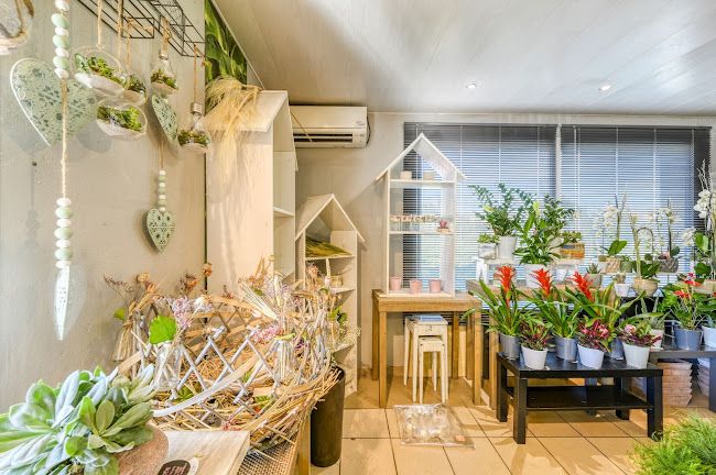 Opinii despre Flore Maître Artisan Fleuriste în Centre - Fleuriste