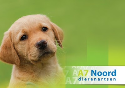 Photos of A7 Noord dierenartsen