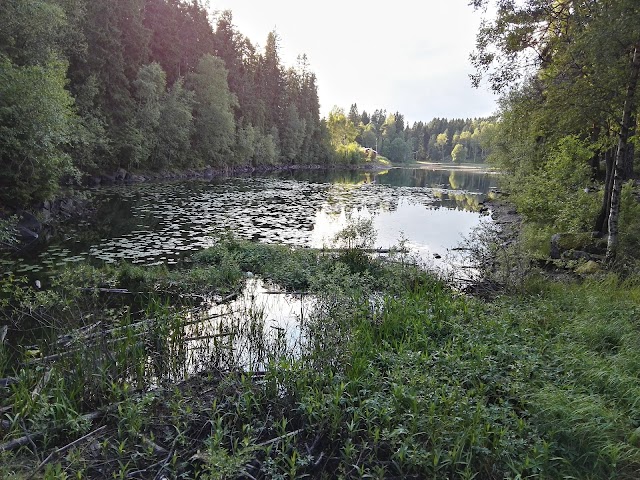 Grefsenkollen utkikkspunkt
