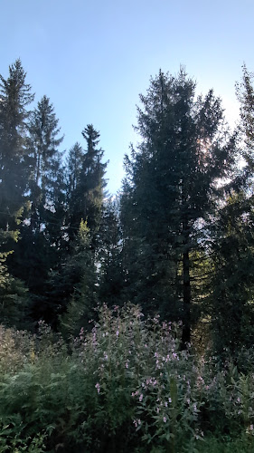 Park Linowy Base Camp Istebna - Organizator imprez