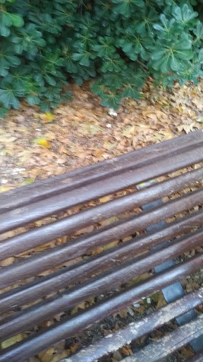 Double bench - Thumbnail