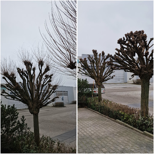 Haus- & Gartenservice K.Bachels - Thumbnail