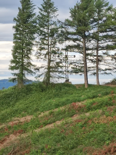 Beloki - Visual