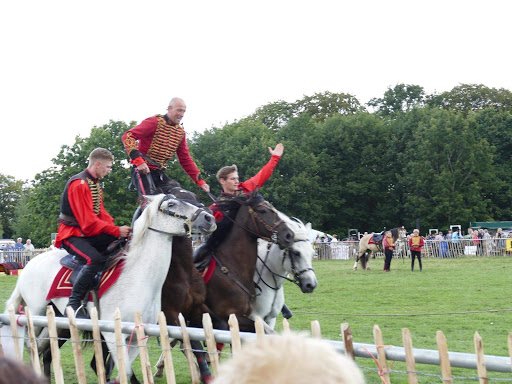 Poynton Show - Thumbnail