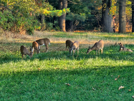 Hendricks Field Golf Course - Thumbnail