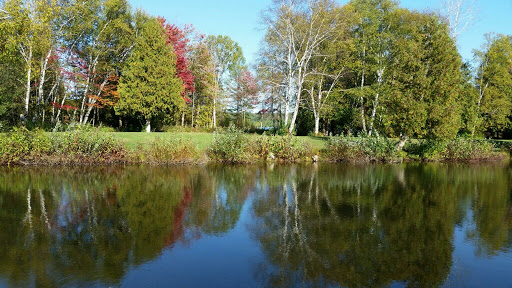Bauer Preserve