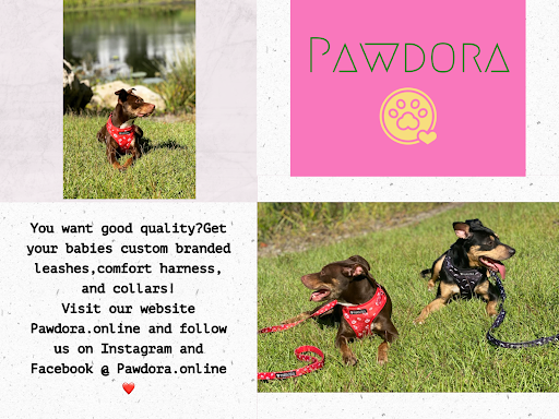 Pawdora - Visual
