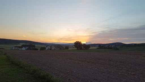 Johannihütte Weiding - Dokuzentrum Slawische Siedlung - Thumbnail