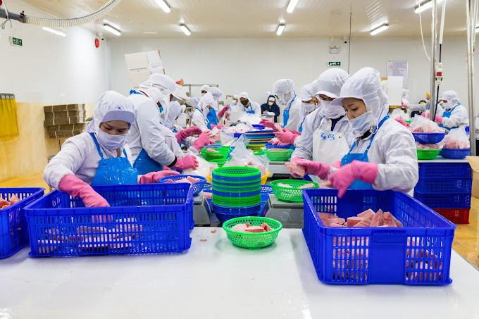 Công Ty Thuỷ Hải Sản An Hải, 03 Khu A, Quy Nhơn, Bình Định
