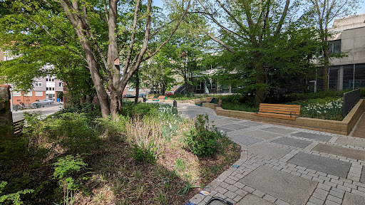Pocket Park Peststadel