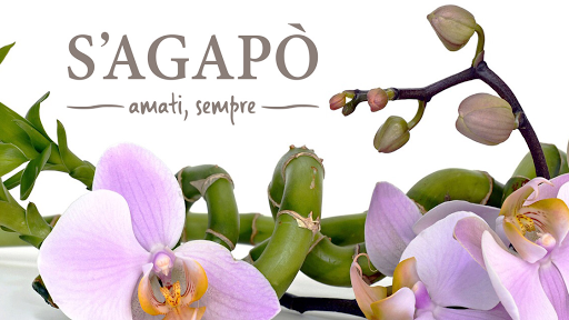 S’agapò - Visual