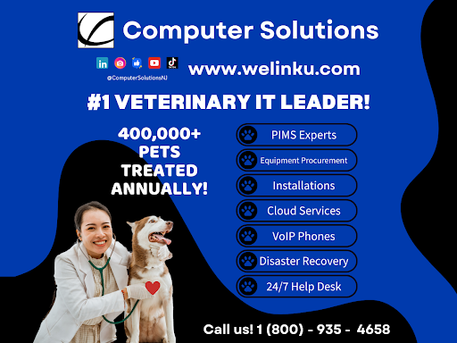 Computer Solutions - Managed IT Services