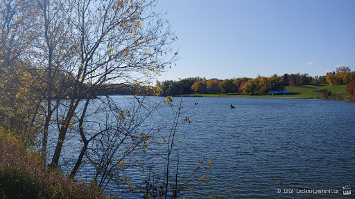 Tottenham Conservation Area - Visual