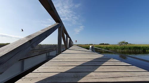 Kloostri linnuvaatlustorn