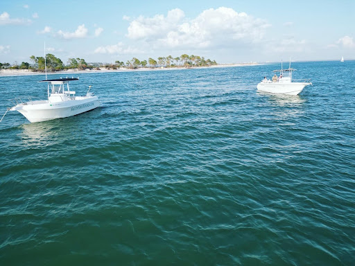 Salty fins dolphin and snorkeling tours - Thumbnail