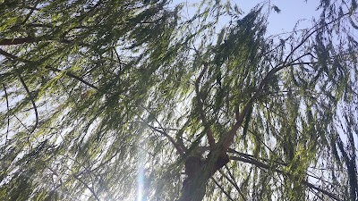 Photos of Sarem Park