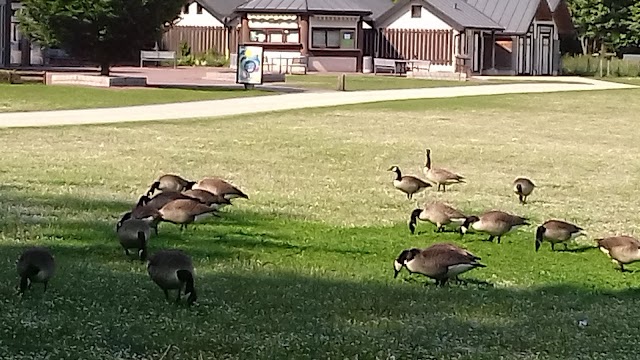 Parc Georges Valbon