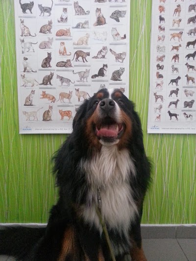 veterinary-care