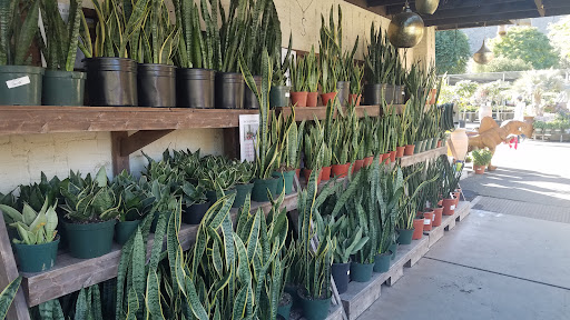 Moller’s Garden Center - Thumbnail