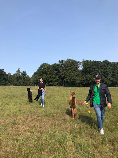 Al Paco Ranch - Thumbnail
