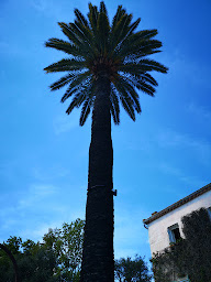 Photo n°25 de Le Mas des Géraniums à Opio (Restaurant)