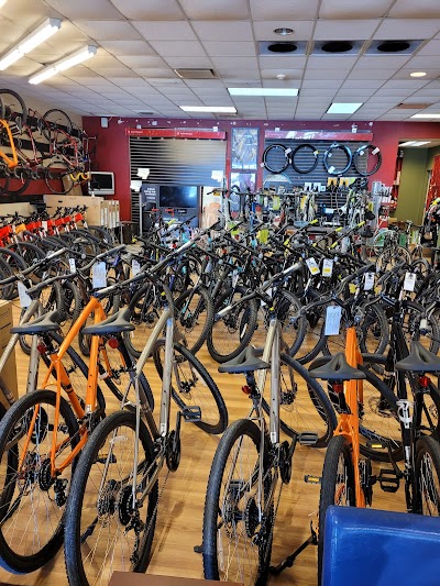 Prairie Path Cycles-Batavia