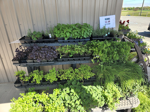 Hillsboro Farm - Thumbnail