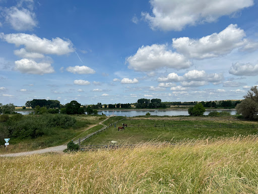 Landschaftspark Rheinbogen - Thumbnail