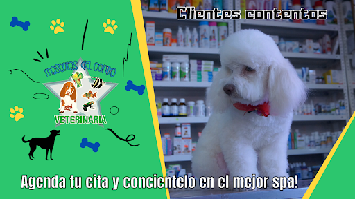Veterinaria y Farmacia Mascotas del Centro
