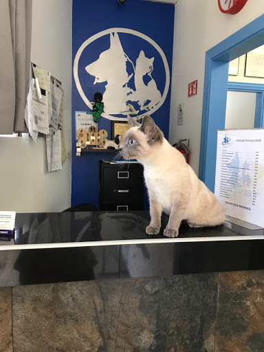 Clinica Veterinaria de Especialidades Tijuana