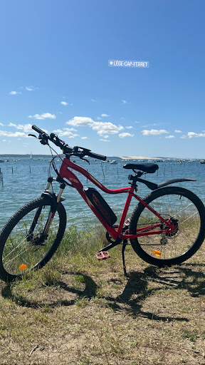 bnbike - location de vélos à Gujan-Mestras - Livraison à domicile gratuite - Thumbnail