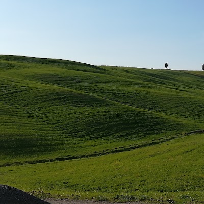 Casa Del Bosco