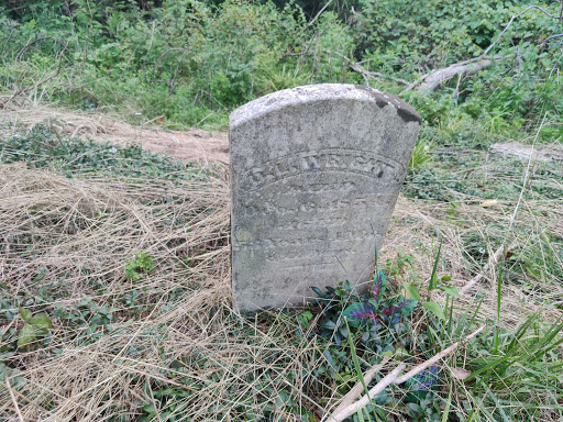Busch Cemetery - Thumbnail