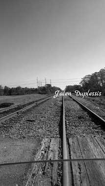 Bridge City, Author: Jalen Duplessis