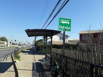 Photos of Quillota Technical Review