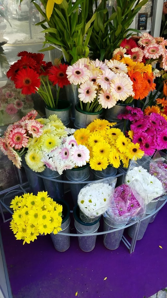 DFlores