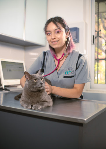 VETME - Hospital Veterinario Hipódromo