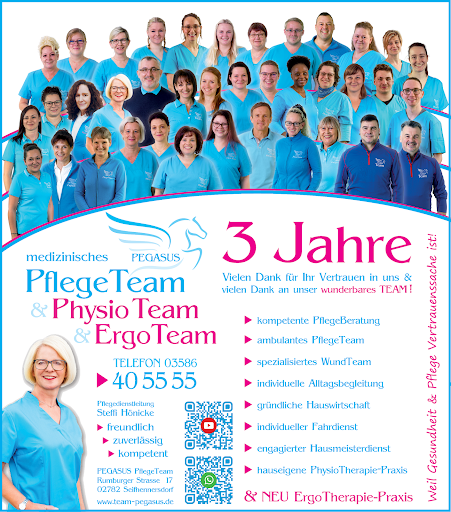 PEGASUS PflegeTeam - PEGASUS GmbH - Thumbnail